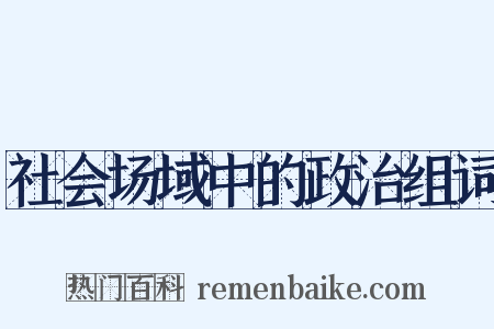 社会场域中的政治组词是什么意思的图片
